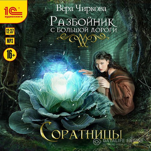 Постер к Вера Чиркова - Разбойник с большой дороги. Соратницы (Аудиокнига)